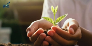 Como educar as crian&ccedil;as para um mundo mais sustent&aacute;vel